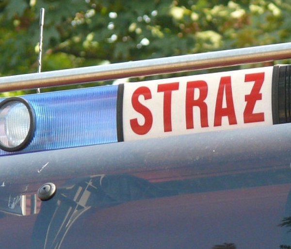 Gmina Łyszkowice. Strażacy interweniowali w Bobrowej. Co się stało?-331458