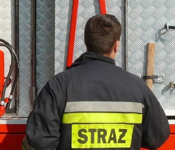 Guźnia. Drzewo runęło na jezdnię, uszkodziło też pojazd-331566