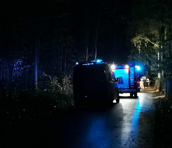 Gmina Głowno. Wypadek w Piaskach Rudnickich. Poszkodowane trzy osoby-332172