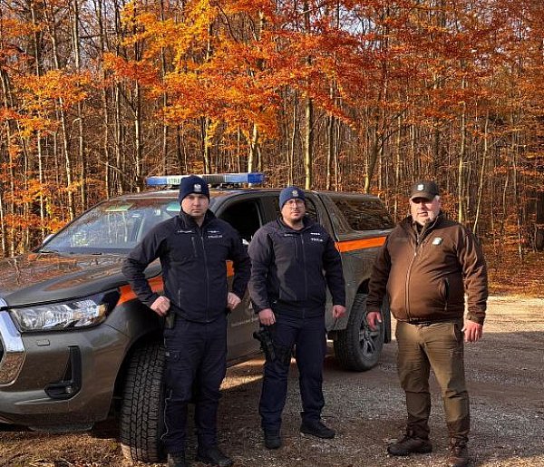 Nielegalne stroiki na groby. Mundurowi kontrolowali lasy przed Wszystkimi Świętymi-332648