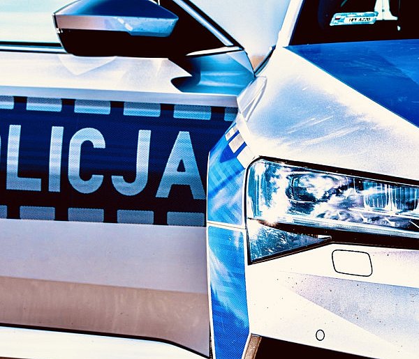 Okradali dyskonty, łupem miały padać...-333825