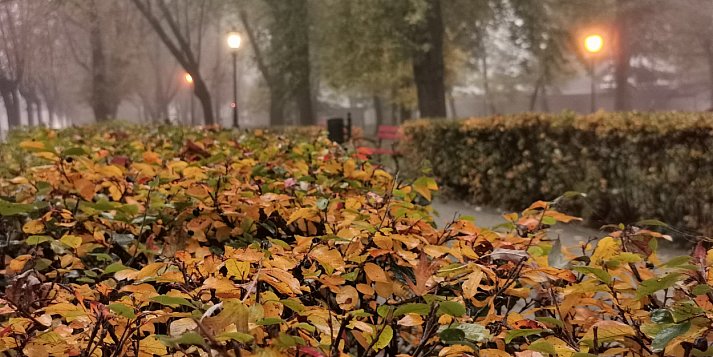 Księżniczka Leia i żarówka Edisona – 21 października w historii