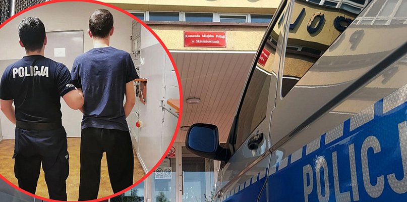 Wydmuchał 3 promile, wcześniej wjechał do rowu - 333212