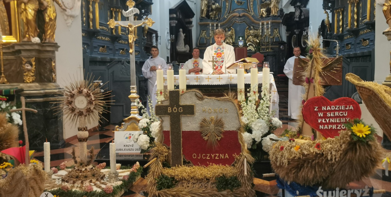 Fot. Dawid Domański 