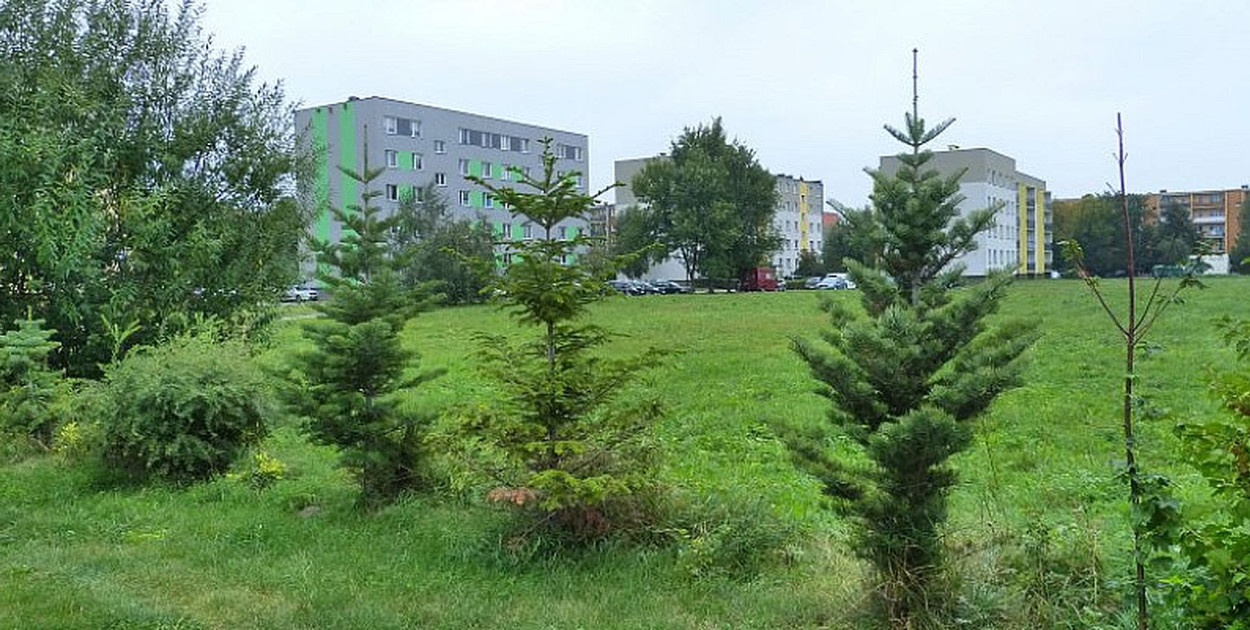 Miejsce, w którym dziś powstaje blok na osiedlu Bratkowice. fot. MWK