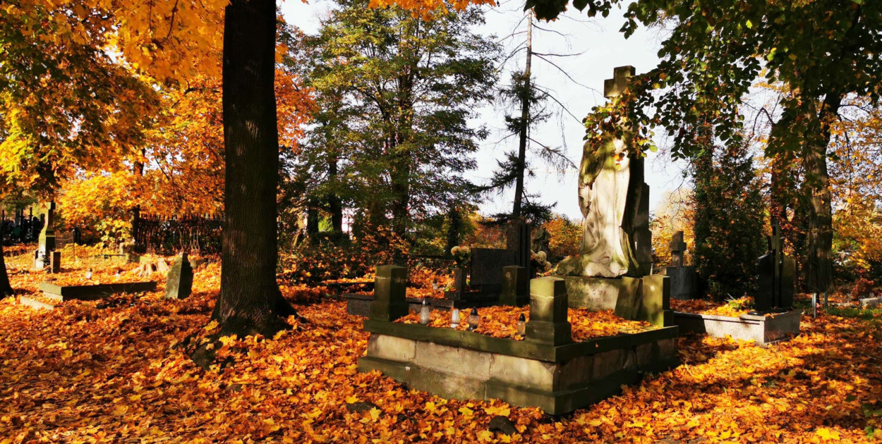 fot. tb/NŁ