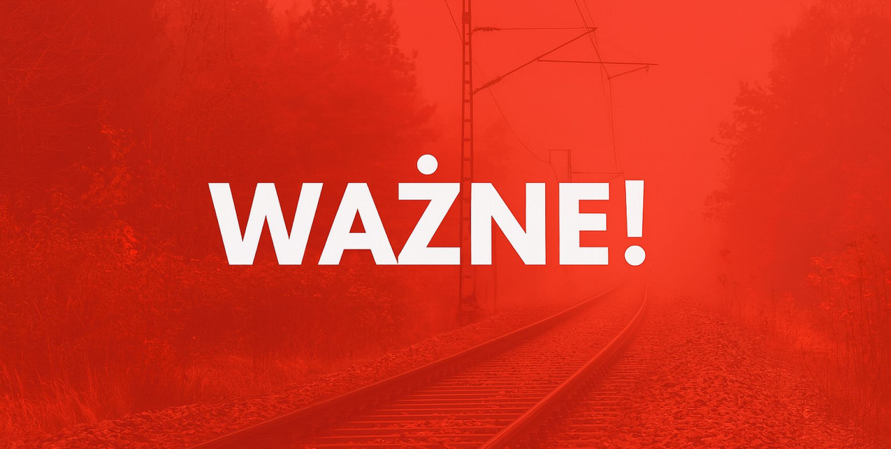 Zdjęcie zastępcze. fot. freepic