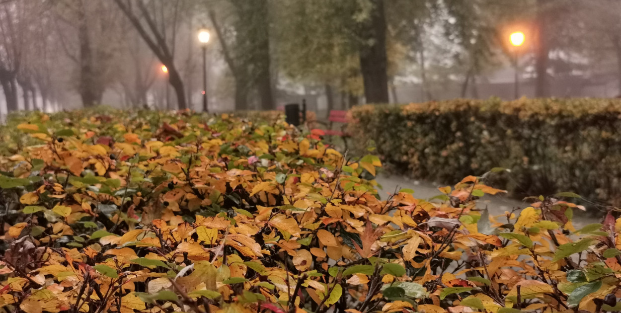 Jesienny park Sienkiewicza. Fot. tb/NŁ