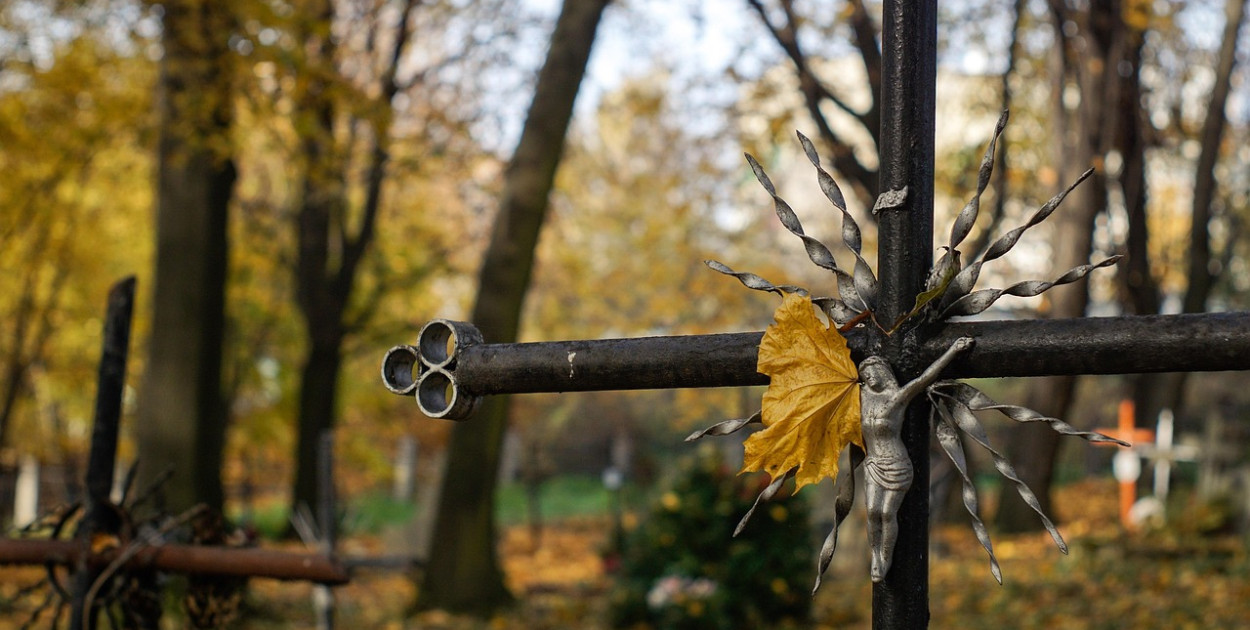 Fot. Pixabay - zdjęcie zastępcze