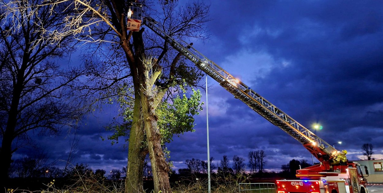 fot. Jednostka OSP Łowicz