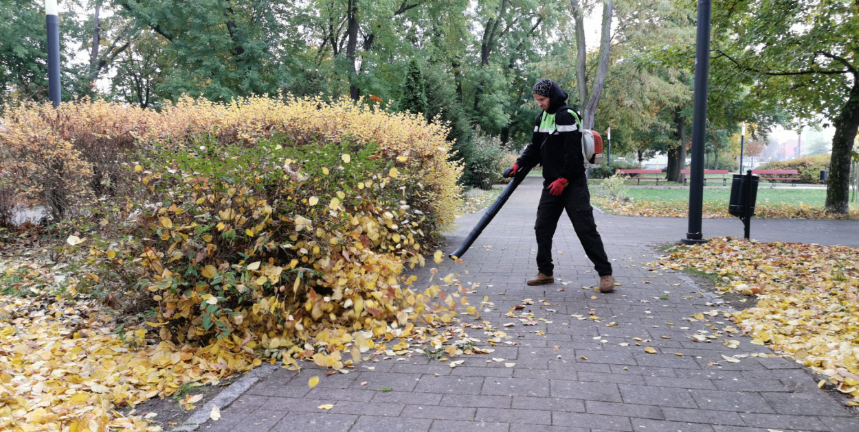 Jesienny Łowicz - park Mickiewicza. fot. tb/NŁ