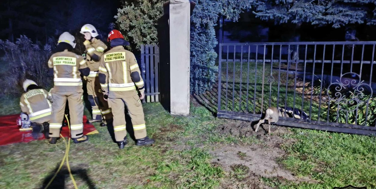 fot. OSP KSRG Dzierzgów