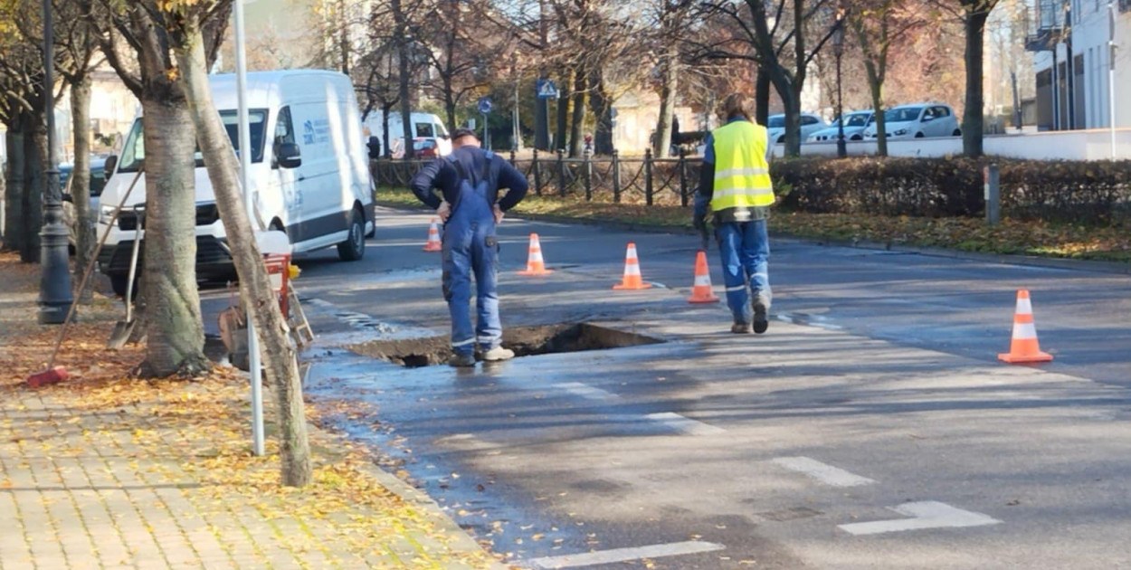 Fot. Dawid Domański