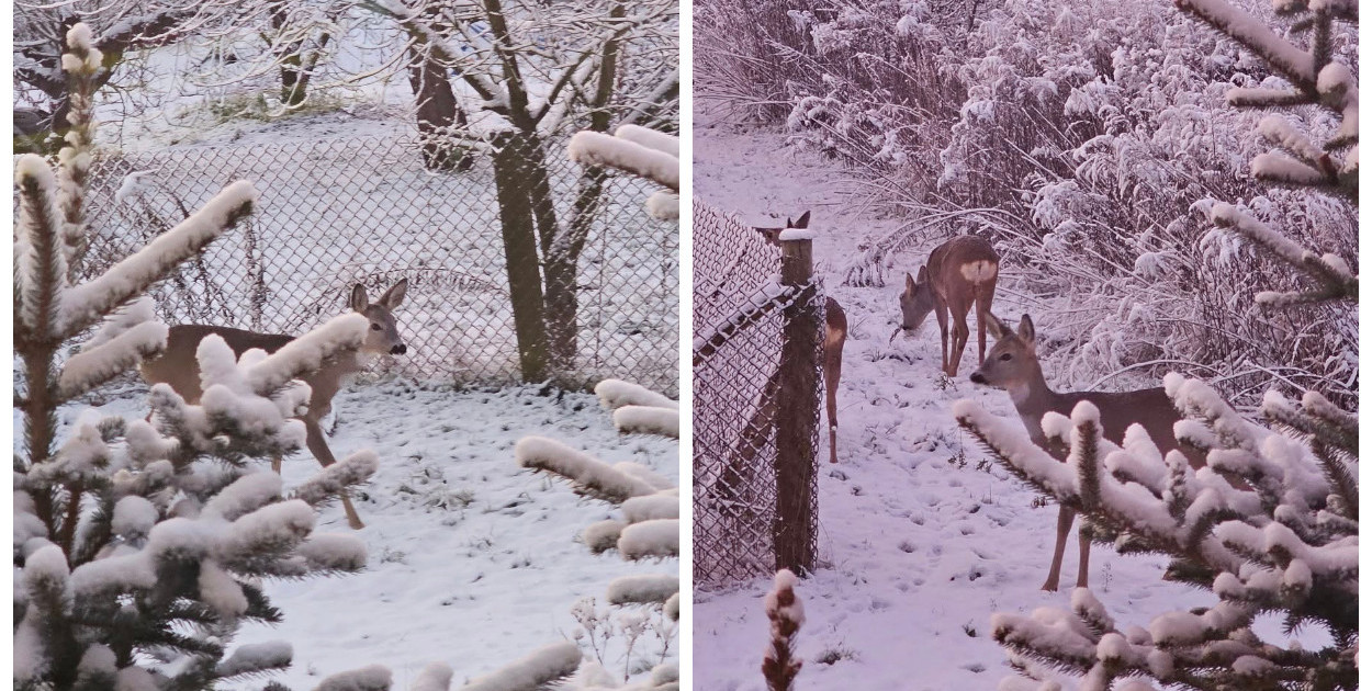 fot. Dariusz Kalota / W obiektywie Łowiczaków