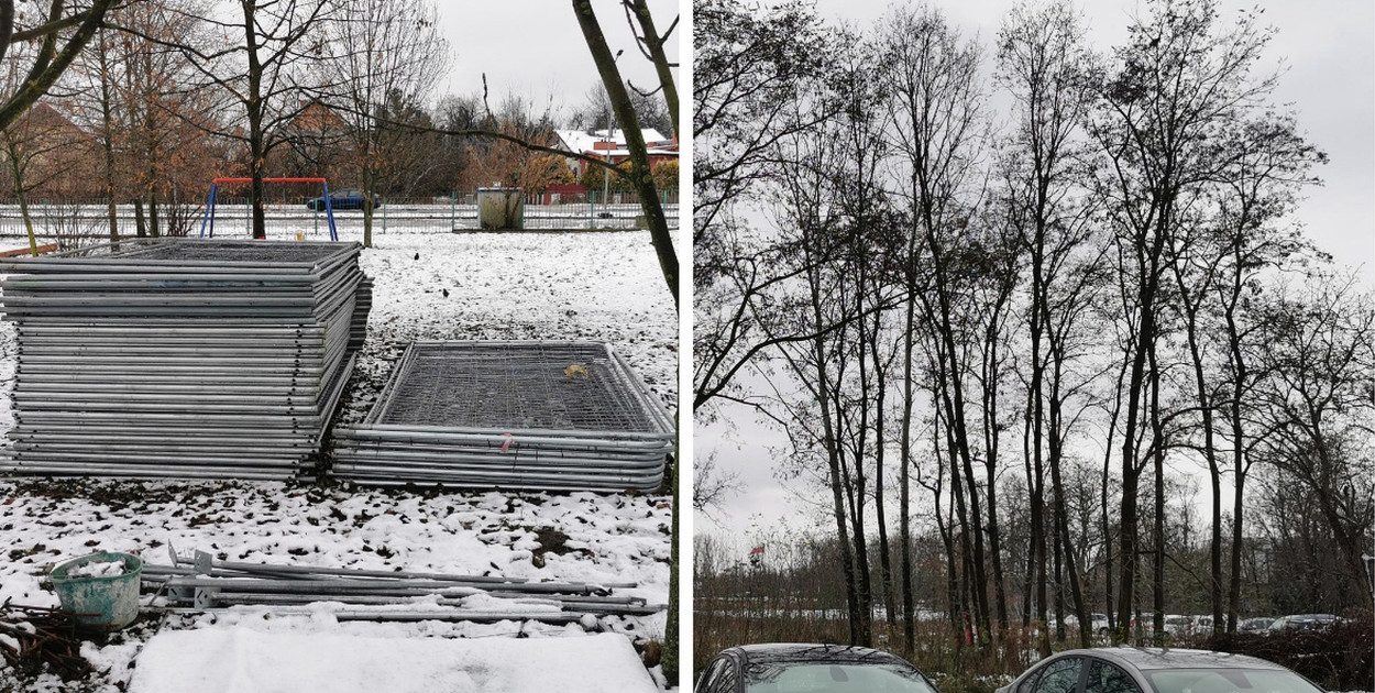 Zgromadzony material do ogrodzenia parkingu i drzewa, które zostaną wycięte.  fot. tb/NŁ