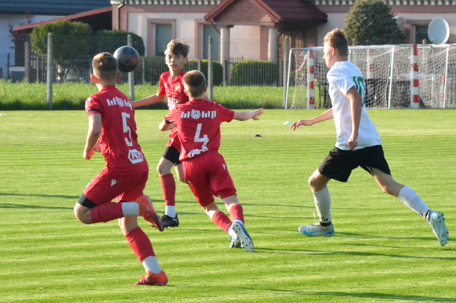 Fot.: Paweł A. Doliński.