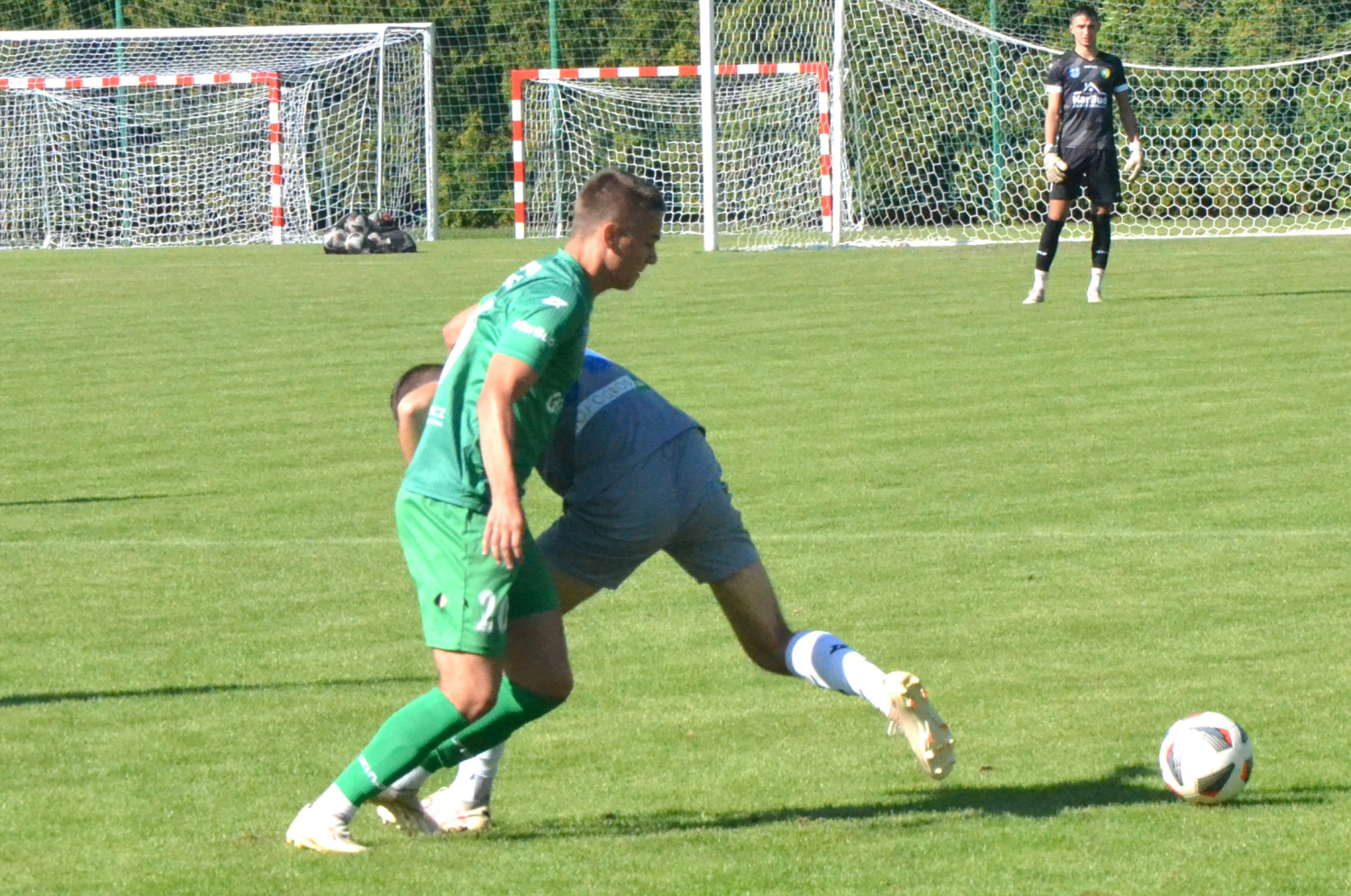 Fot.: Paweł A. Doliński.