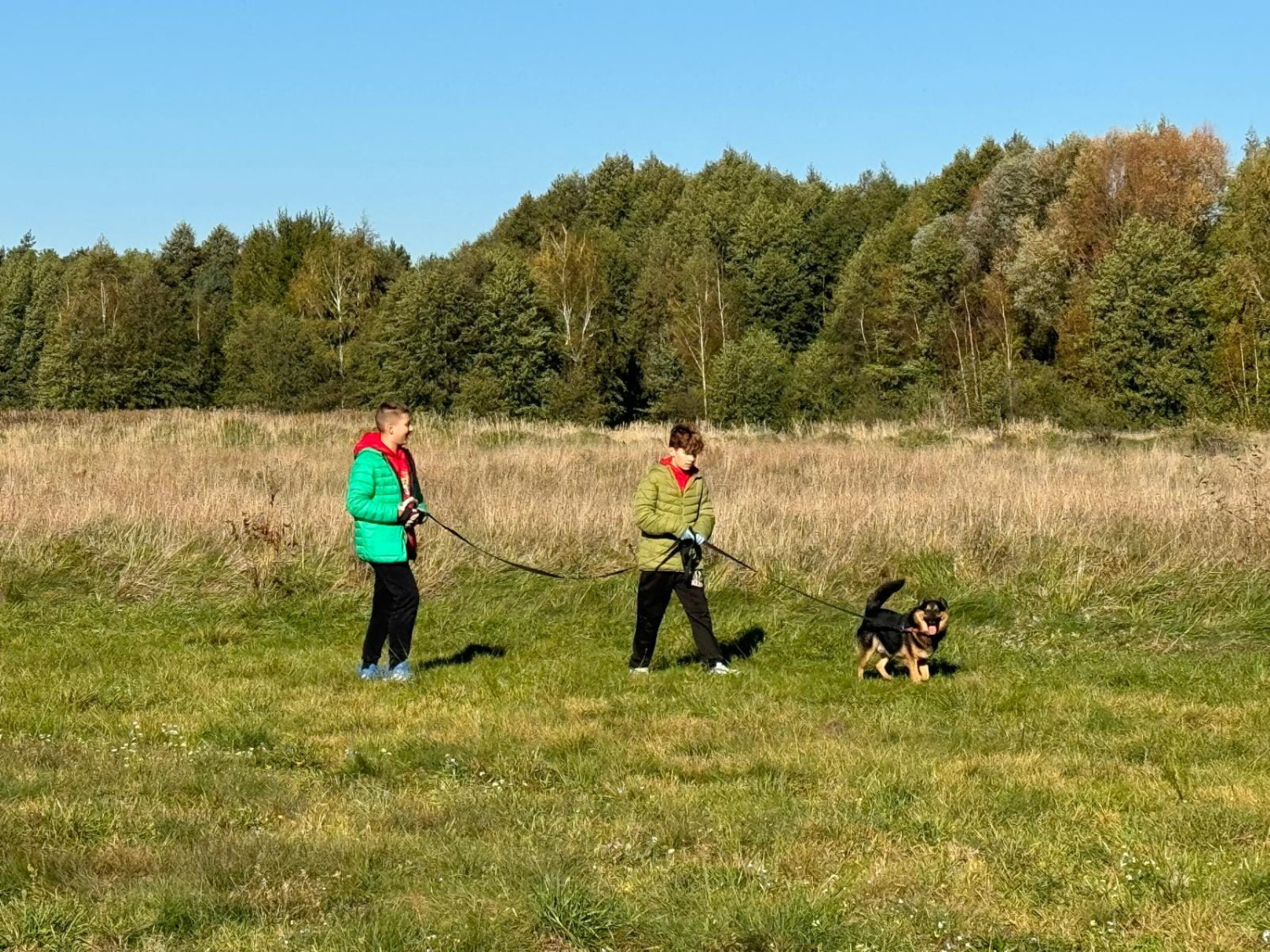 Fot.: UMKS Księżak-2012 Łowicz.