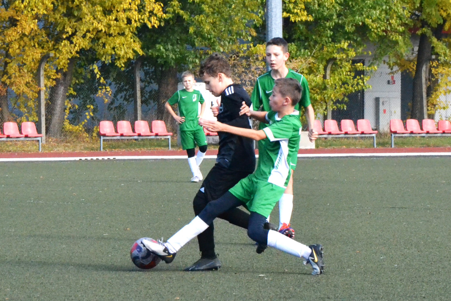 Fot.: Paweł A. Doliński.