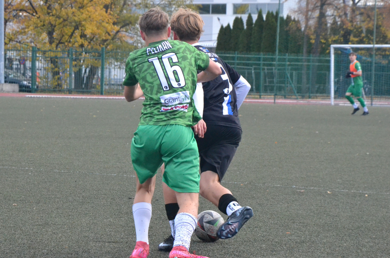 Fot.: Paweł A. Doliński.