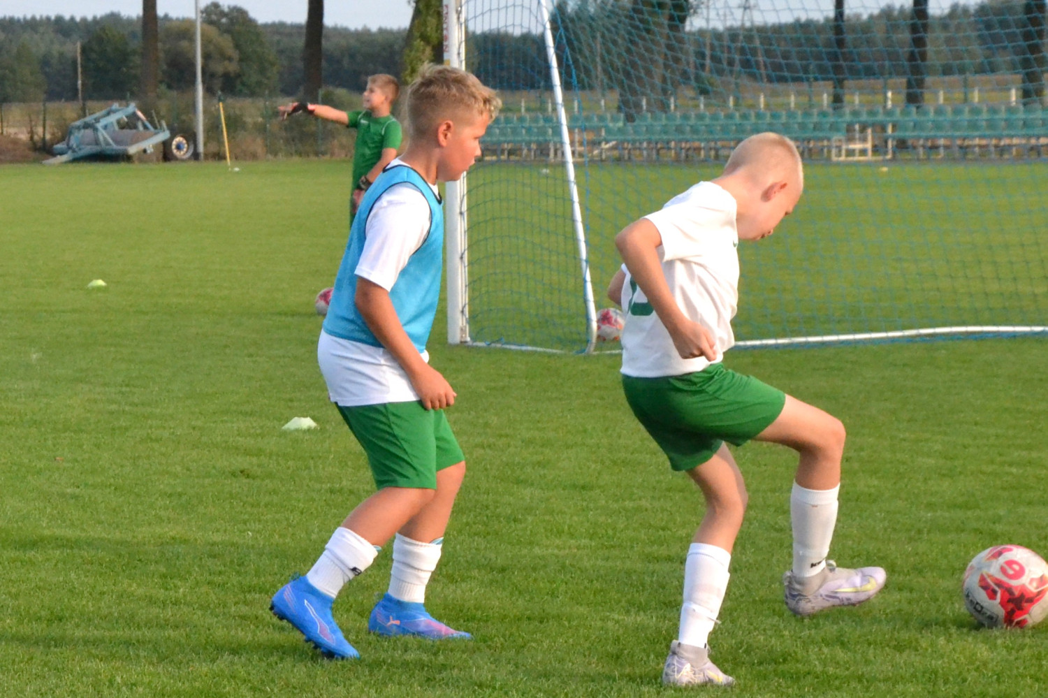 Fot.: Paweł A. Doliński.