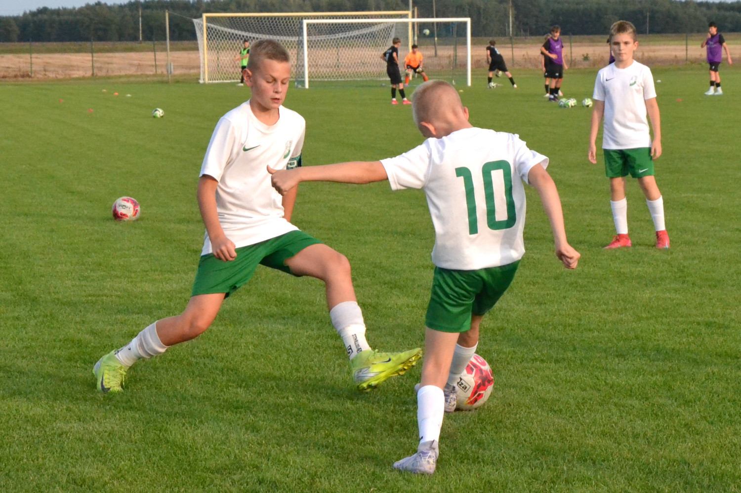 Fot.: Paweł A. Doliński.