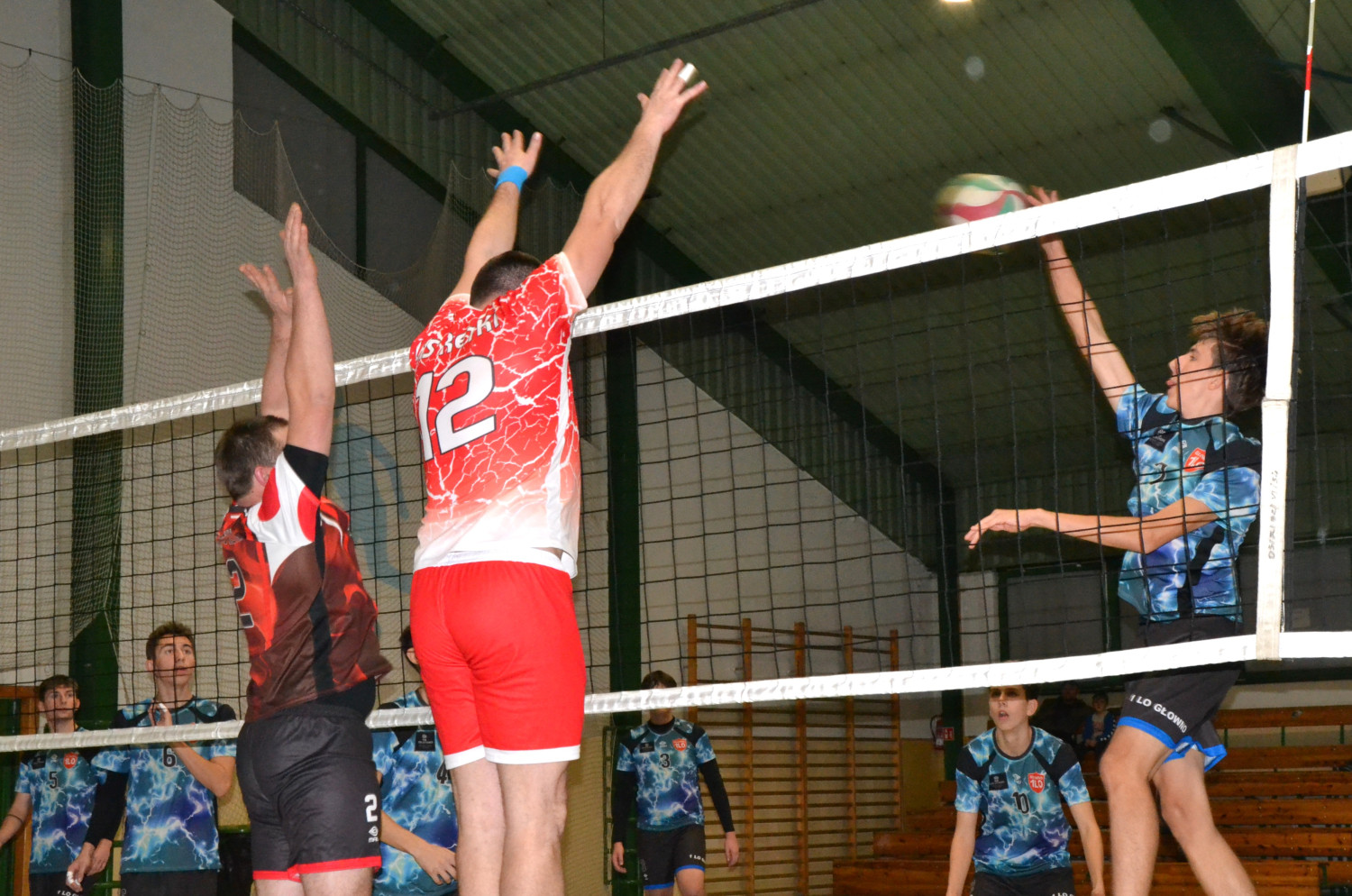 Fot.: Paweł A. Doliński.