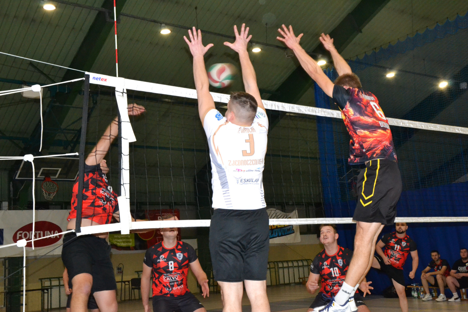 Fot.: Paweł A. Doliński.