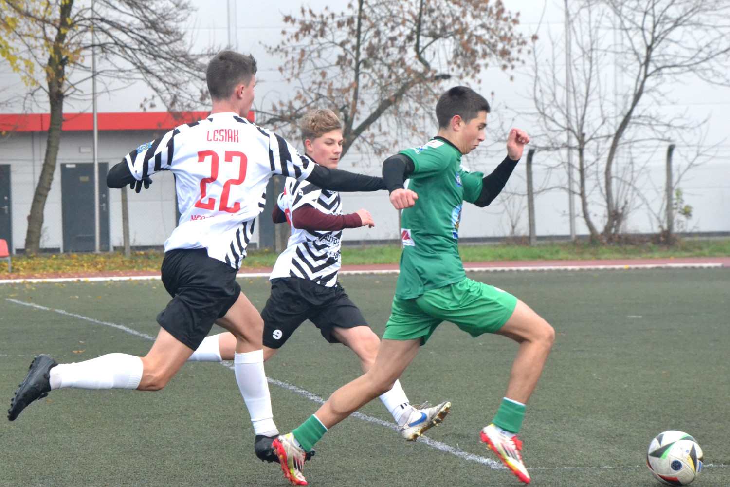 Fot.: Paweł A. Doliński.