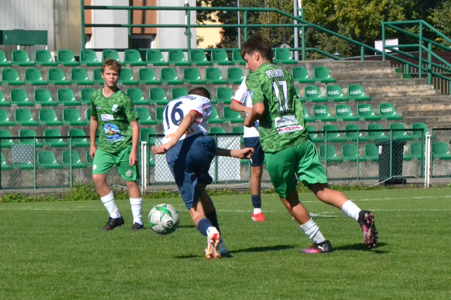 Fot.: Paweł A. Doliński.