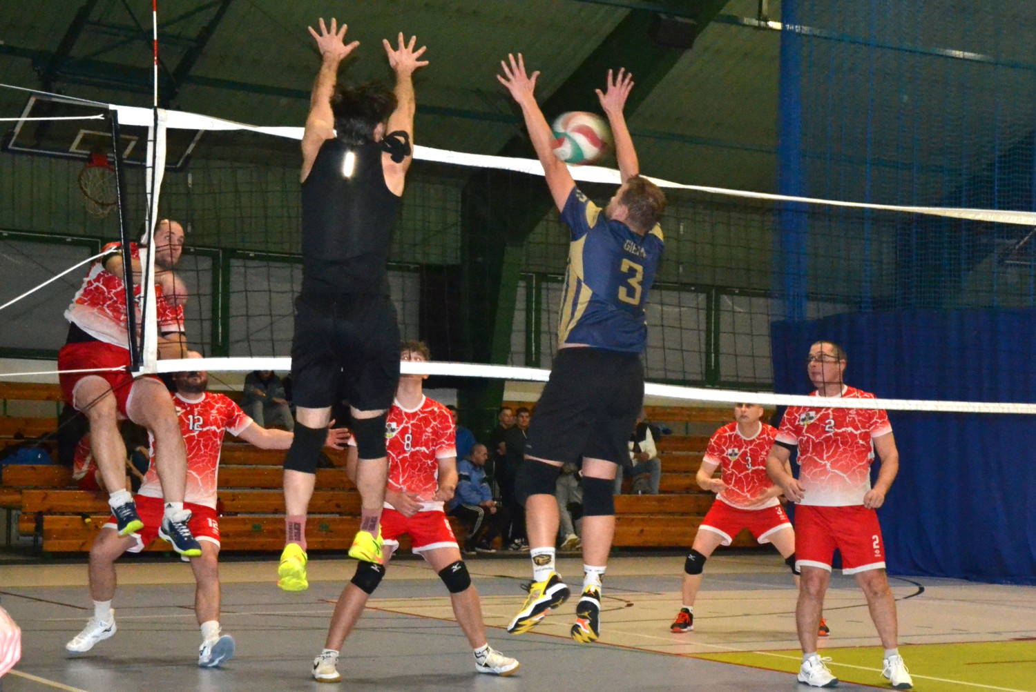 Fot.: Paweł A. Doliński.